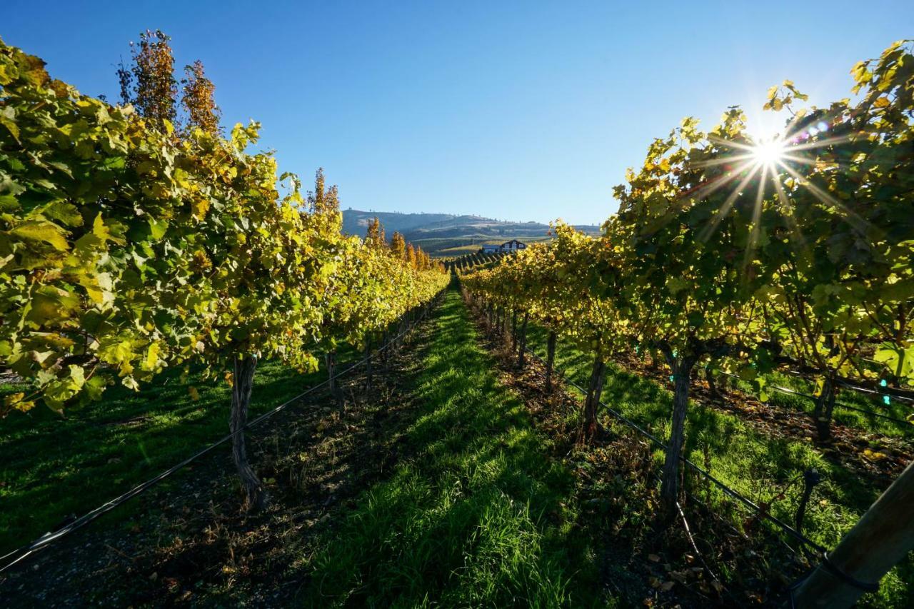 The Vineyards Lodge Chelan Dış mekan fotoğraf
